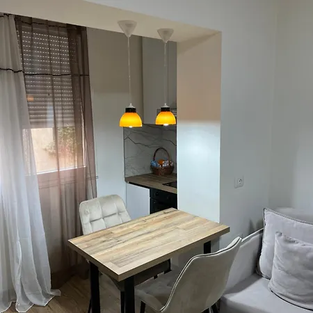 Apartment Bright & Roomy Myslym Shyri